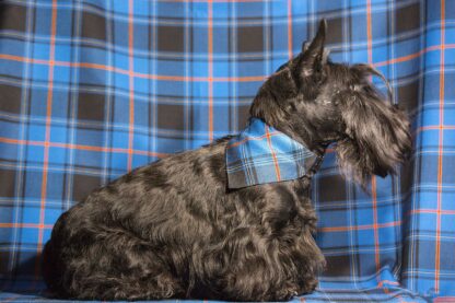 Scottish Terrier scarf